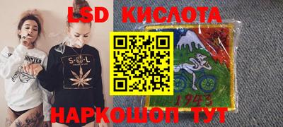 Альфа ПВП Новодвинск