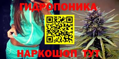 Альфа ПВП Новодвинск