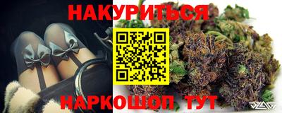 Альфа ПВП Новодвинск