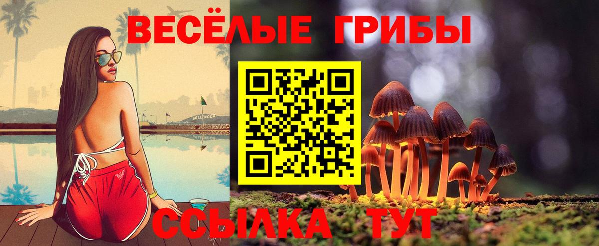 Геленджик  Псилоцибиновые грибы мухоморы  Вход с VPN  Галлюциногенные грибы ЛСД 